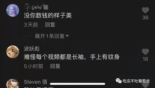抖音评论吃瓜网红,揭秘热门评论背后的故事