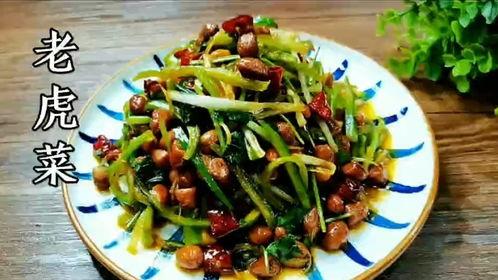 51cg吃瓜网热老虎菜,揭秘“热老虎菜”背后的火爆现象