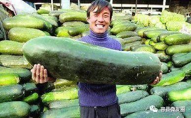 一起吃瓜网官网