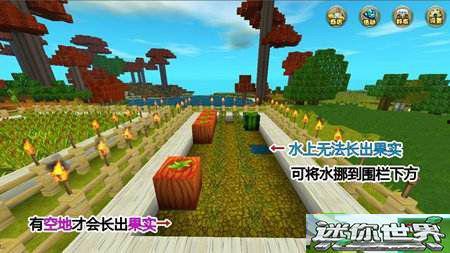 迷你世界吃瓜网红地图,揭秘吃瓜网红地图的奇幻之旅