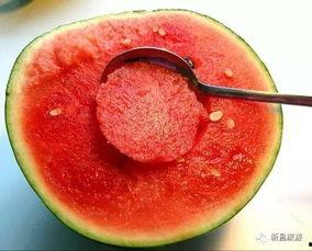 吃瓜群众在七零果冻网,揭秘吃瓜群众的网络狂欢盛宴