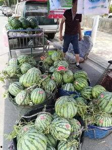沭阳网红吃瓜事件,一场网络舆论的风暴与反思